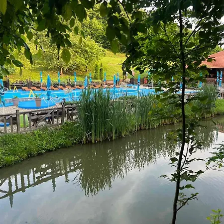 Etno Selo Trbovic מלון גורני מילנובץ