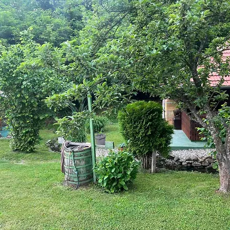 Etno Selo Trbovic 4* גורני מילנובץ