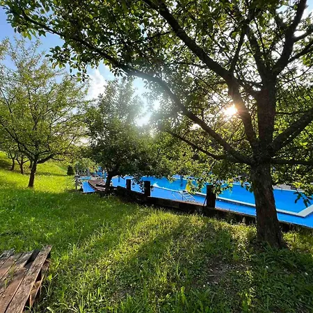 מלון Etno Selo Trbovic גורני מילנובץ