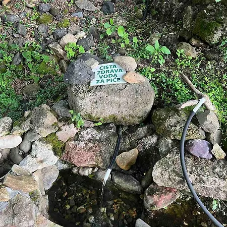 מלון Etno Selo Trbovic גורני מילנובץ