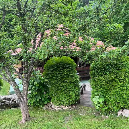 Etno Selo Trbovic 4* גורני מילנובץ