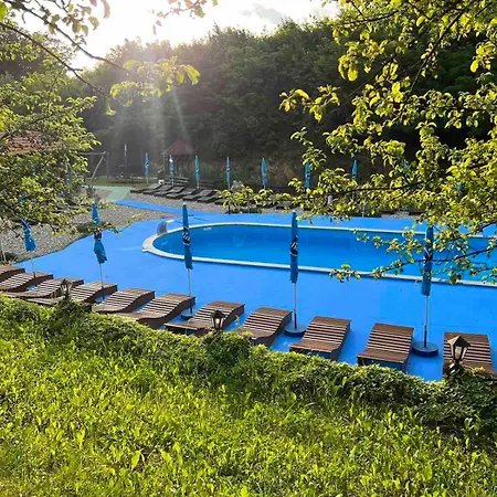 Etno Selo Trbovic מלון גורני מילנובץ